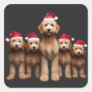 Search for labradoodles stickers Goldendoodle