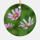 Search for cosmos ornaments Garden