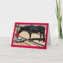 Search for horse valentines day cards Western
