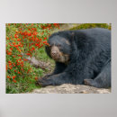 Search for lounging posters Nature