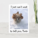 Search for snowbound Snowbound dog