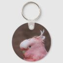 Search for cockatoo keychains Wildlife