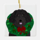 Search for labradoodle ornaments Poodle