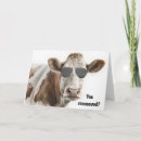 Search for funny new home cards Cow