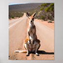 Search for kangaroo posters Photography