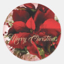 Search for red poinsettia stickers Flowers