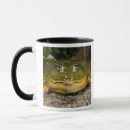 Search for vertebrate mugs Nature
