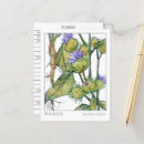 Recherche de herboriste cartes postales Pour tous