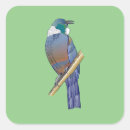 Search for new zealand birds stickers For kids