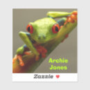 Recherche de yeux rouges autocollants Grenouille