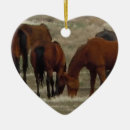 Search for cute cow ornaments Cowgirl
