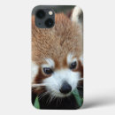 Search for panda ipad cases Animal