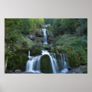 Recherche de forest land posters Green