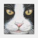 Recherche de noir et blanc chat magnets Chaton