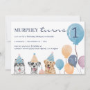 Recherche de de de chien anniversaire invitations Coloré