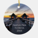 Search for naples florida ornaments Sunshine state