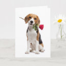 Search for beagle valentines day cards Pet