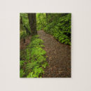Search for new forest puzzles Bush