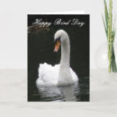 Search for swan birthday cards Cute