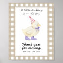 Search for ducklings Thank you