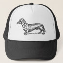 Recherche de teckels casquettes Chiot