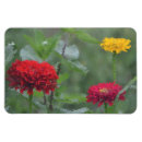 Search for impressionists magnets Garden