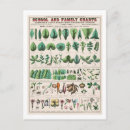 Search for vintage botanical postcards Botany