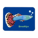 Recherche de poissons tropicaux magnets Aquarium