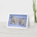 Search for polar bear cub cards Snow