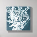 Recherche de azure posters Vie marine