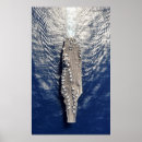 Recherche de truman Marine