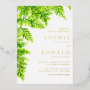 Search for fern leaf Watercolor