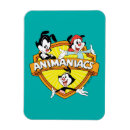 Search for dot rectangular magnets Animaniacs