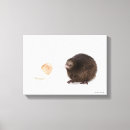 Search for kiwi art Animals