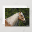 Recherche de chevaux de palomino cartes postales Animal