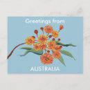 Recherche de arbre de gomme posters Fleurs