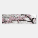 Search for blossom bumper stickers Sakura