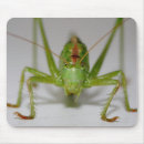 Search for cricket mousepads Grasshopper