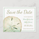 Recherche de sand dollar invitations Été