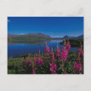 Search for alaska range postcards Landscape