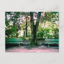 Recherche de banc parc cartes postales Vert