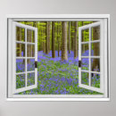 Recherche de jacinthe des bois posters Jardin