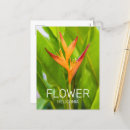 Recherche de de fleuriste cartes postales Jardinier