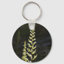 Search for green grass keychains Plant