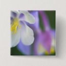 Search for columbine flower buttons Colorado