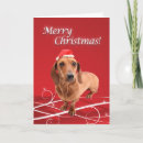 Recherche de dachshund christmas cards Dog