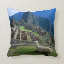 Search for peru pillows Landscape