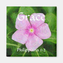 Search for periwinkle magnets Flower