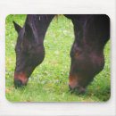 Search for togetherness mousepads Photography