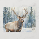 Search for elk in snow postcards Wildlife